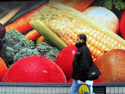 法國2003年食品零售價格指數微降 新鮮水果零售價格變化分析