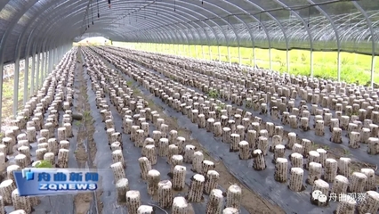 天津?yàn)I江集團(tuán)深入調(diào)研我縣農(nóng)副產(chǎn)品產(chǎn)業(yè)，聚焦新鮮水果零售市場新機(jī)遇