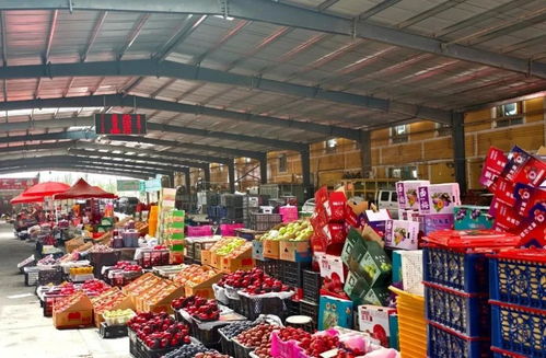 元旦市場(chǎng)供應(yīng)充足，新鮮水果喜迎佳節(jié)